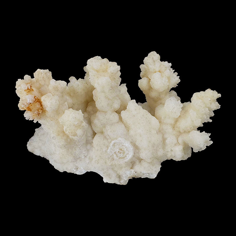 Aragonite blanche - Mexique - Pièce unique - 202409_44