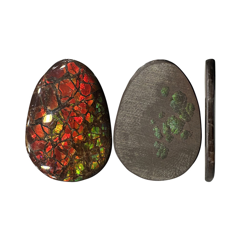 Cabochon Ammolite - Pièce unique - 202412_34