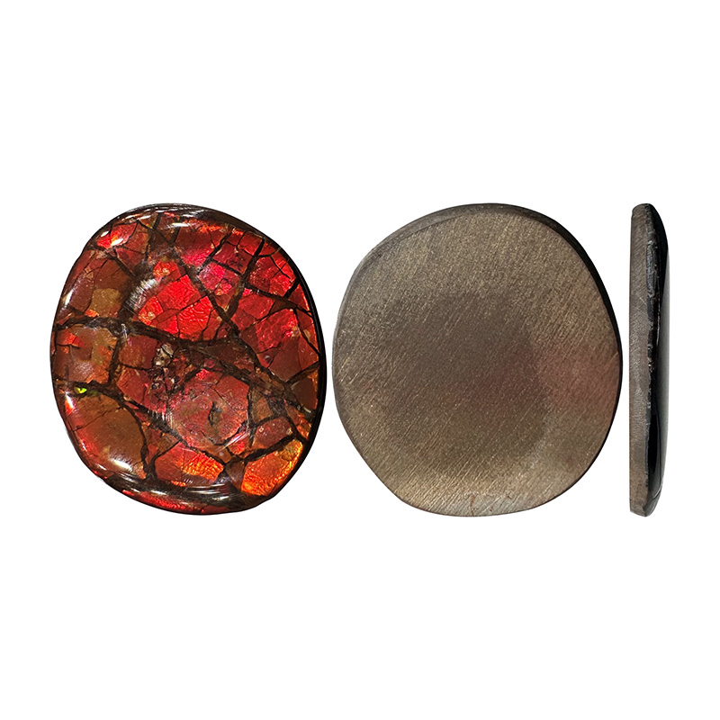 Cabochon Ammolite - Pièce unique - 202412_35