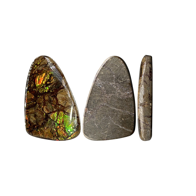 Cabochon Ammolite - Pièce unique - 202412_39