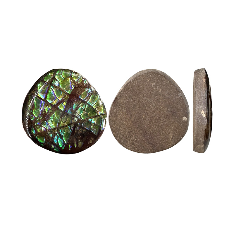 Cabochon Ammolite - Pièce unique - 202412_41